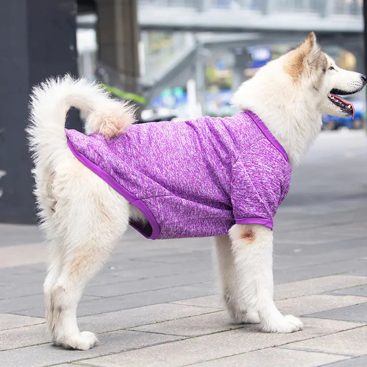 Cozy Wool Sweater for Dogs