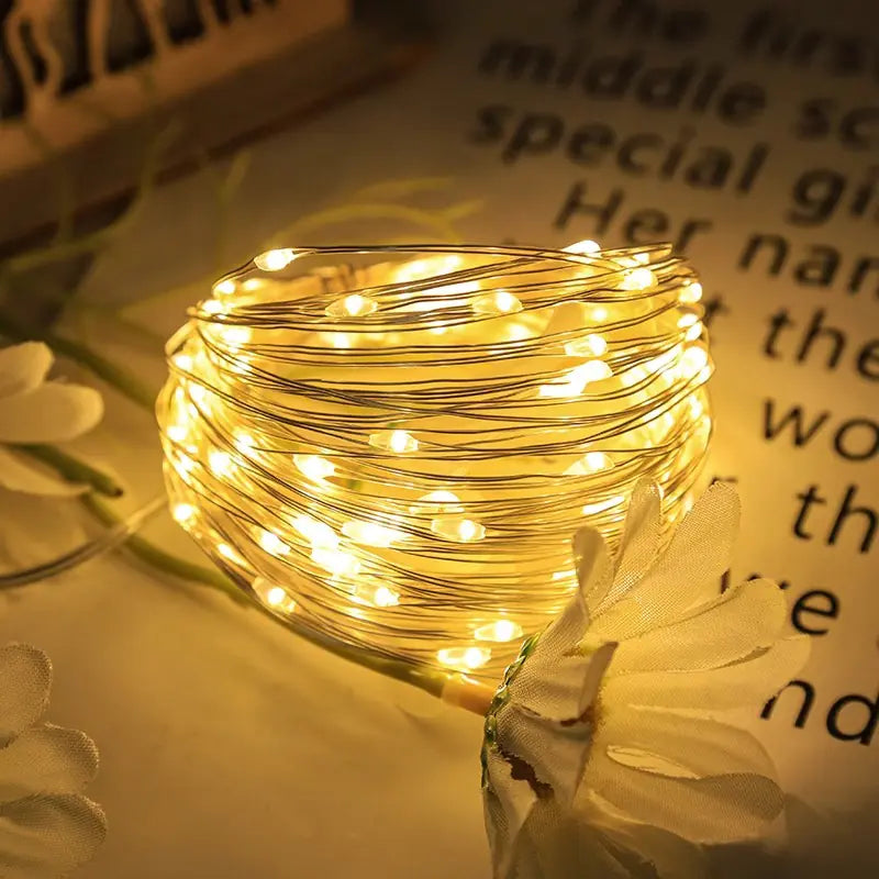 LED Copper Wire String Lights with Battery Box (Outdoor)