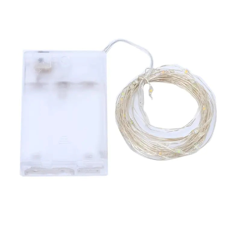 LED Copper Wire String Lights with Battery Box (Outdoor)