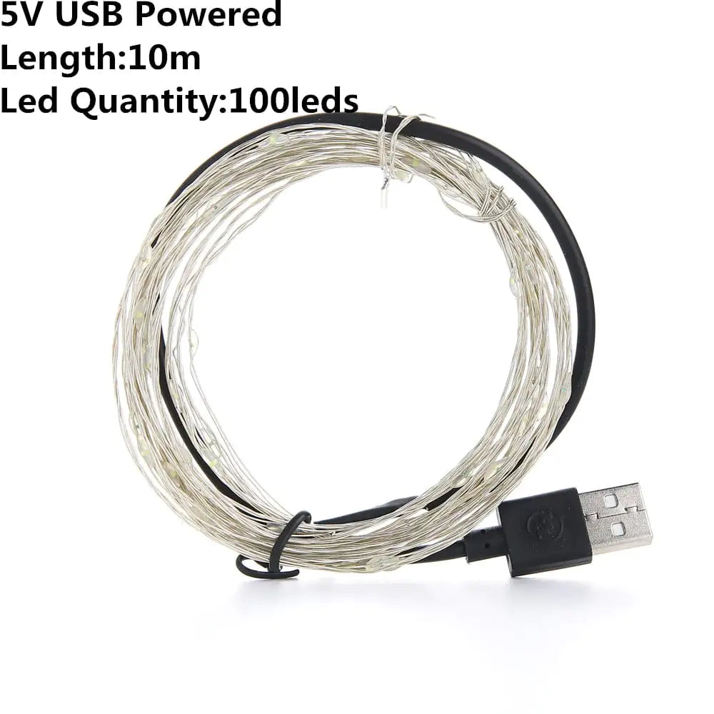 USB Powered LED String Lights for Outdoor Decoration
