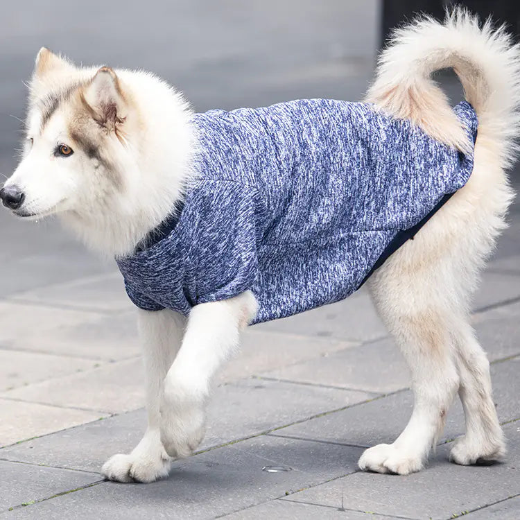 Cozy Wool Sweater for Dogs